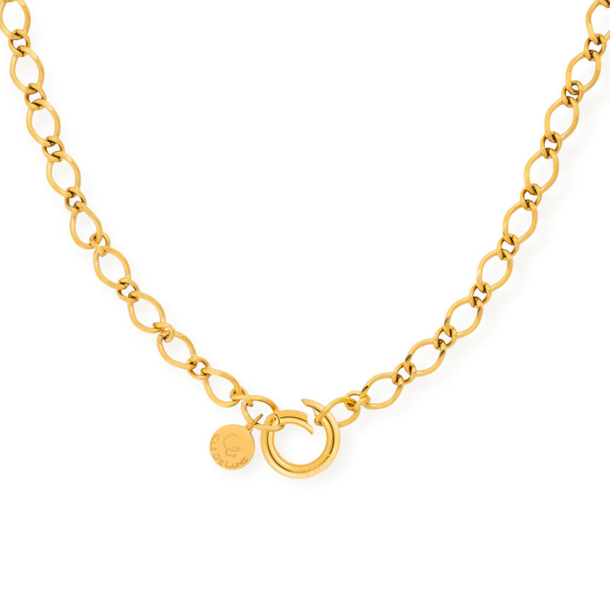 Bare Necklace Chains of Connection