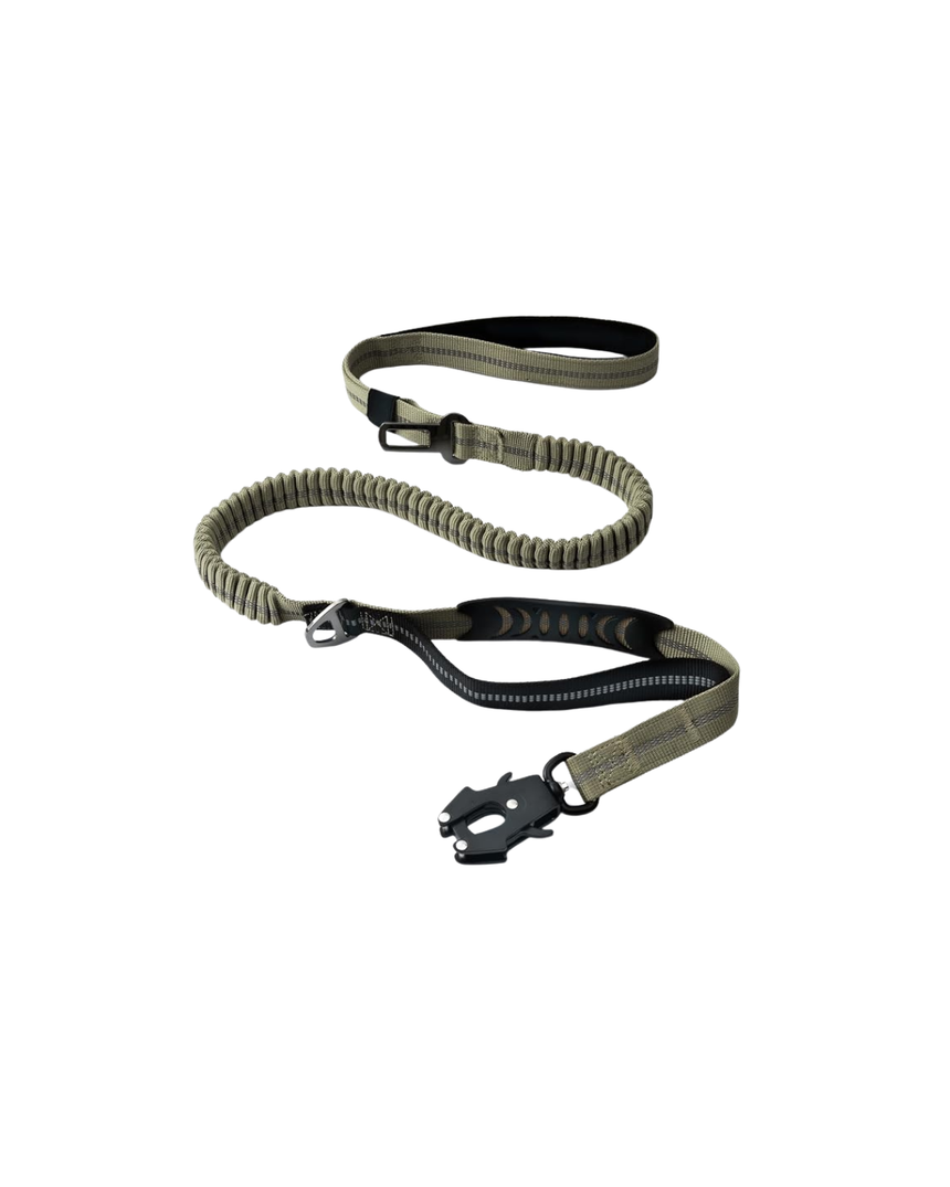 Tactical bungee dog leash in green with seatbelt clip and control handle