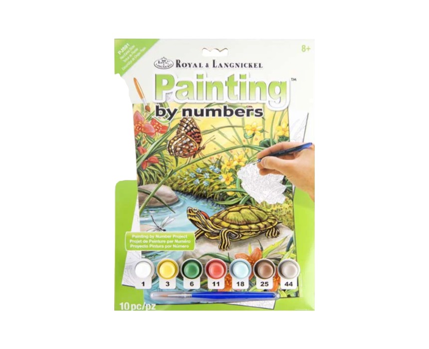 Red Eared Slider Painting by Numbers