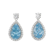 Polo Exchange Earrings - N20239