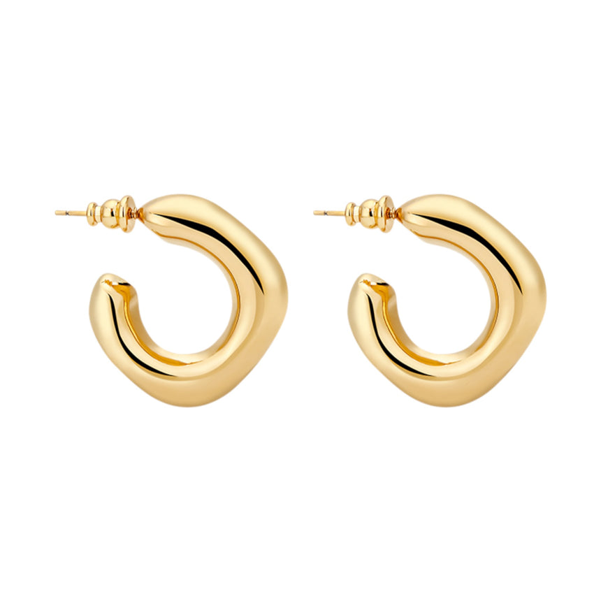 Polo Exchange Stainless Steel Earrings - EBR1925G