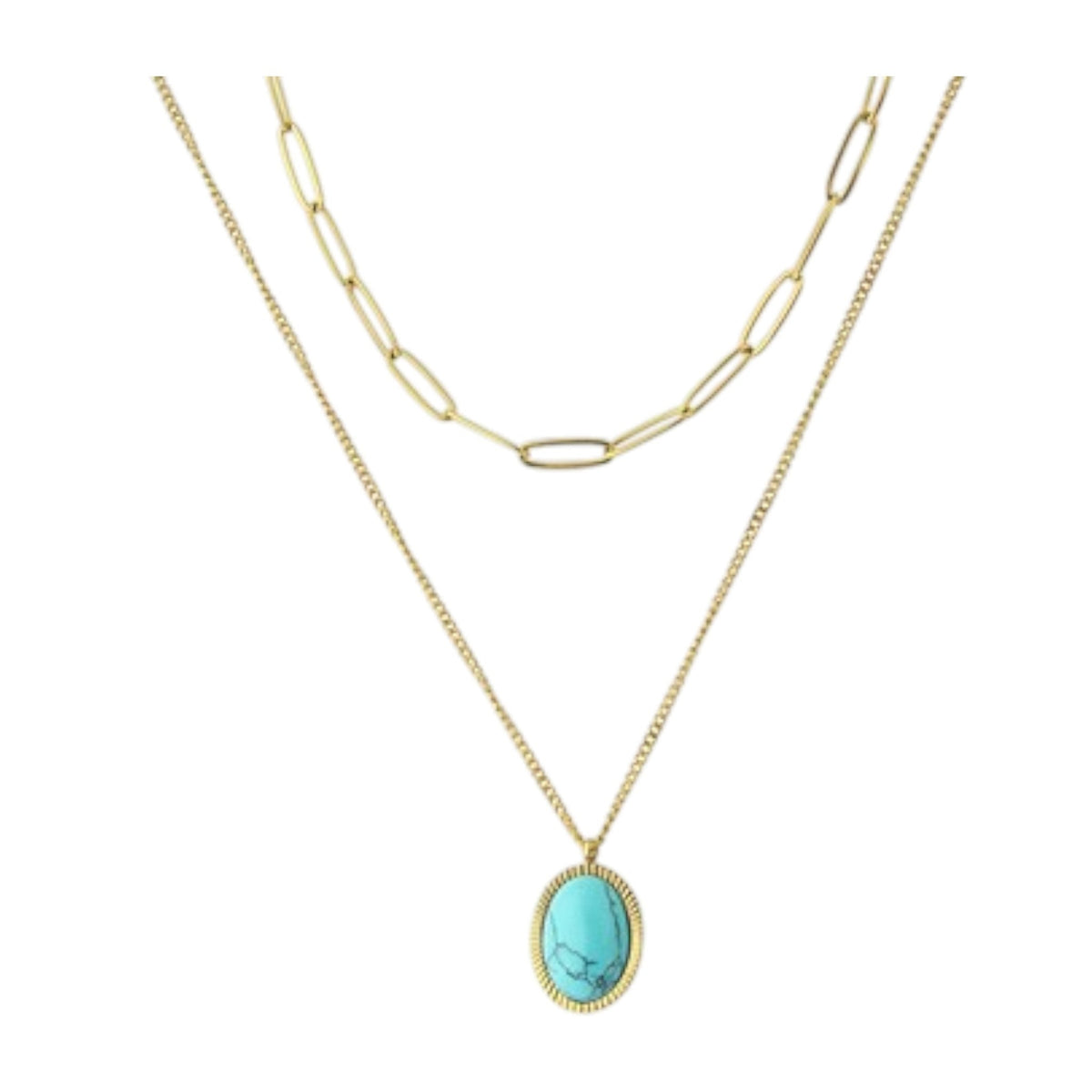 Polo Exchange Necklace - ST51-H066201N