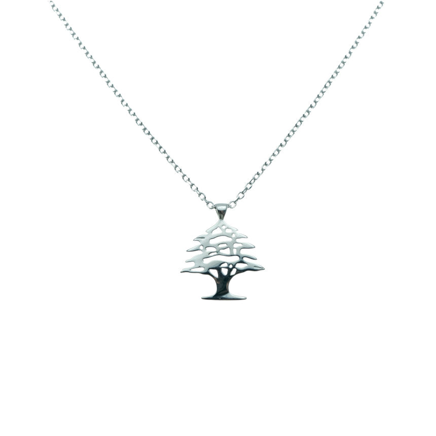 Polo Exchnage Necklace SHN6394 Silver
