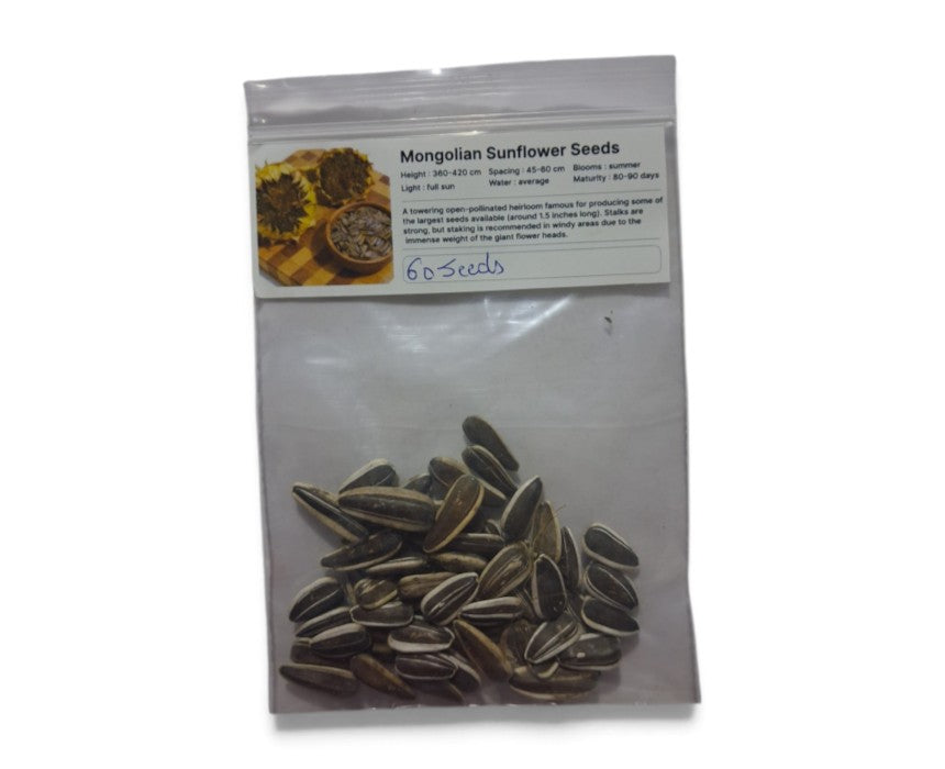 Mangolian Sunflower Seeds Heirloom