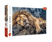 Sleeping Lion Puzzle