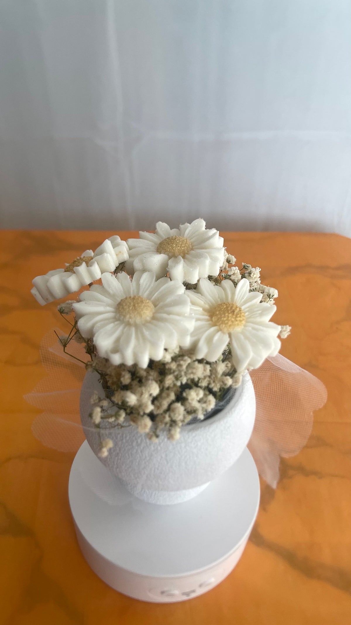 Small potted plant with white soap flowers on a wooden surface