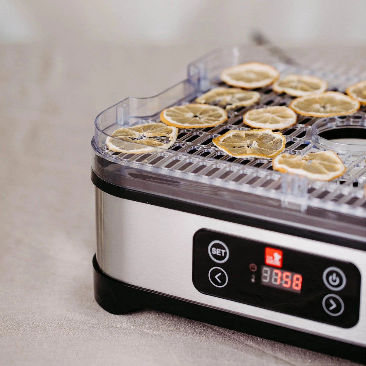 Food Dehydrator - 250W Outlet Food Dehydrator - 250W Food Dehydrator - 250W TEAM CUISINE