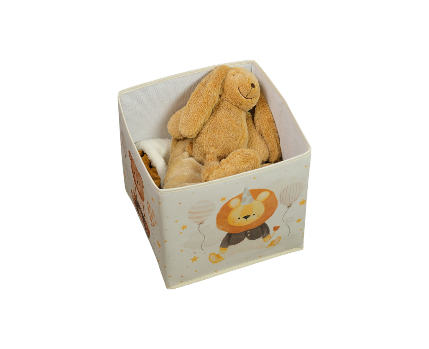 Kids Storage Box