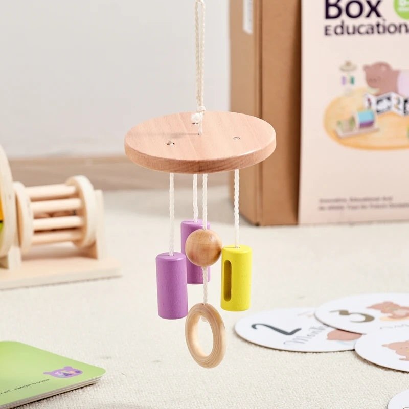 Newborn Montessori Education Set