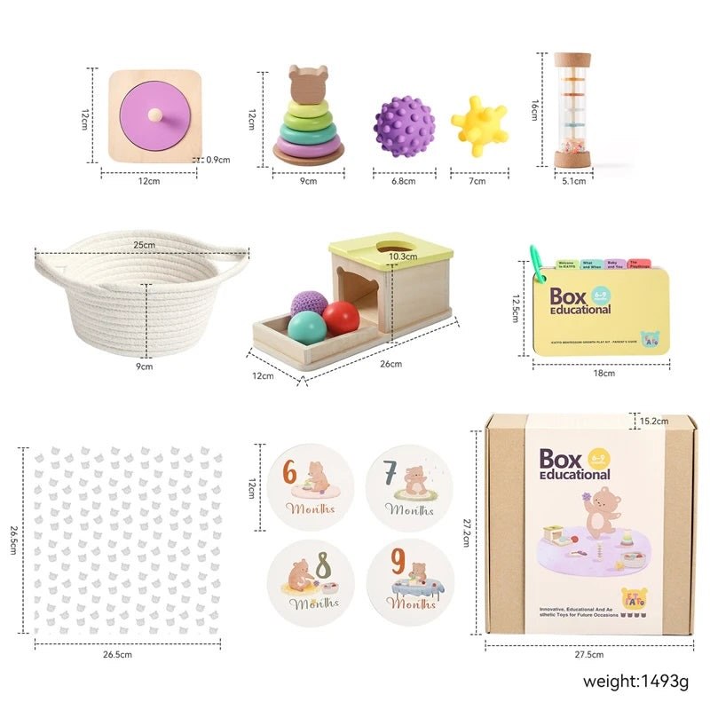 Infant Montessori Education Set