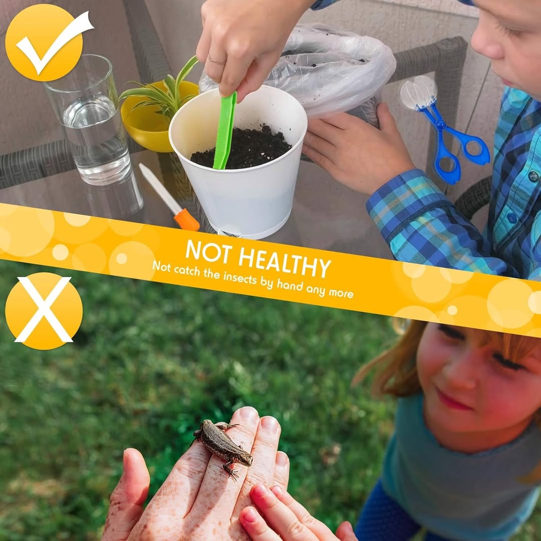 Outdoor Bug Catcher Kit