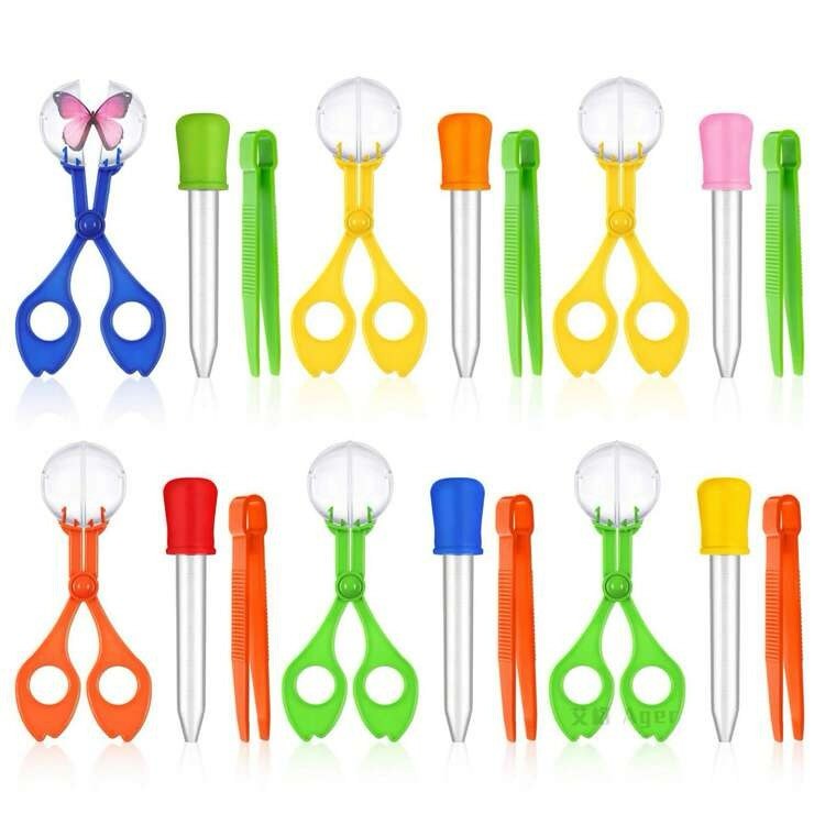 Outdoor Bug Catcher Kit