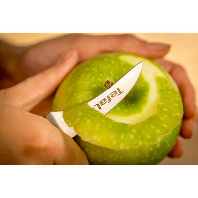Ice Force-Paring Knife 7cm Kitchen Knives Ice Force-Paring Knife 7cm Ice Force-Paring Knife 7cm Tefal