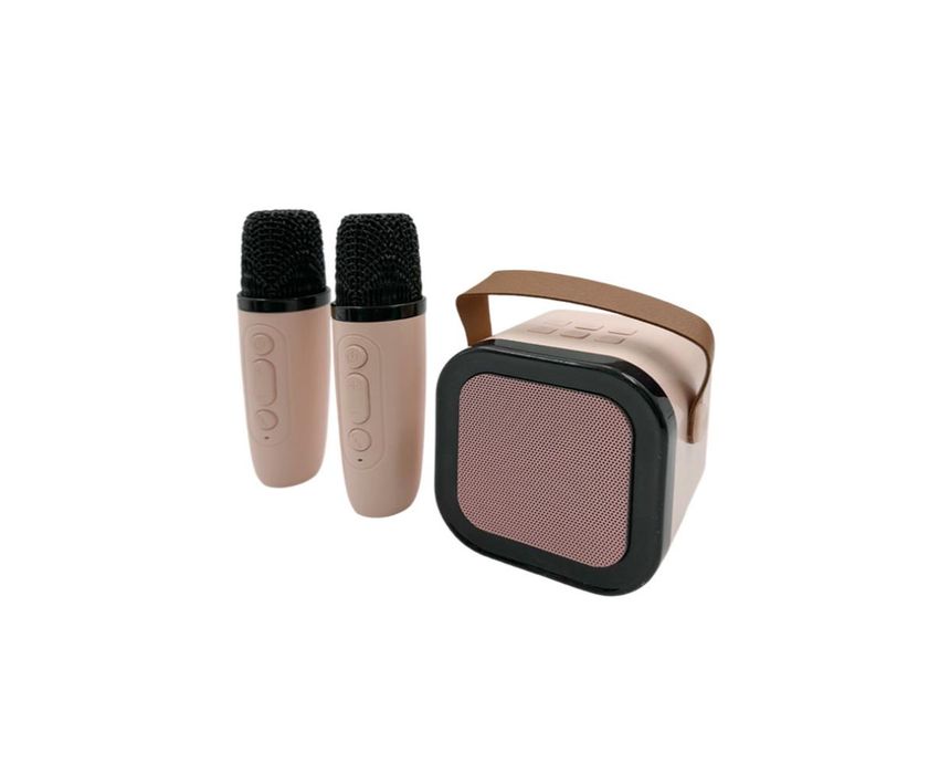 Portable Speaker - Amplifie - USB & Bluetooth & Radio - K12