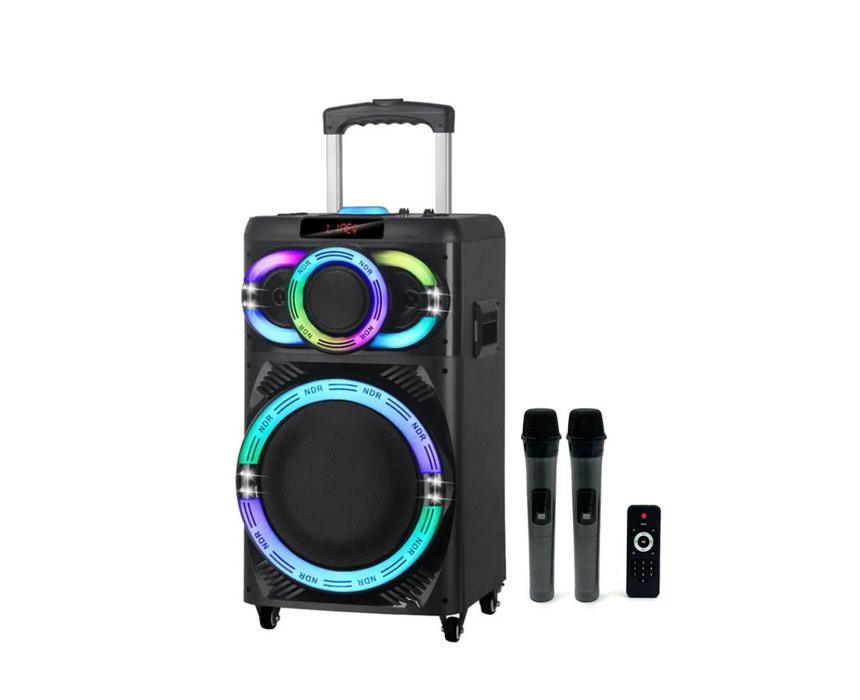 Portable Speaker - Amplifier - 12" - USB & Bluetooth & Radio - NDR-1270
