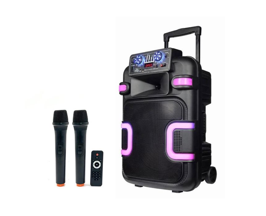 Portable Speaker - Amplifier - 15" - USB & Bluetooth & Radio - WLC-1509Q