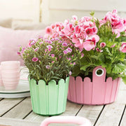 The German Outlet, Emsa, LANDHAUS Round Planter