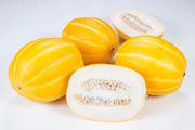 Early Silver Line Melon Seeds
