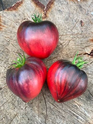 Sgt Pepper Beefsteak Tomato Seeds