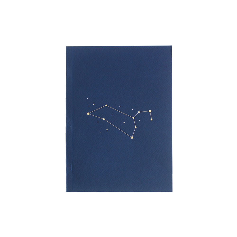 Notebook: Leo Zodiac Sign