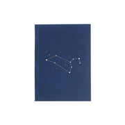 Notebook: Leo Zodiac Sign