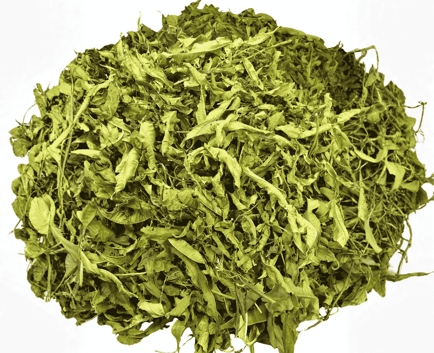 Lemon Balm