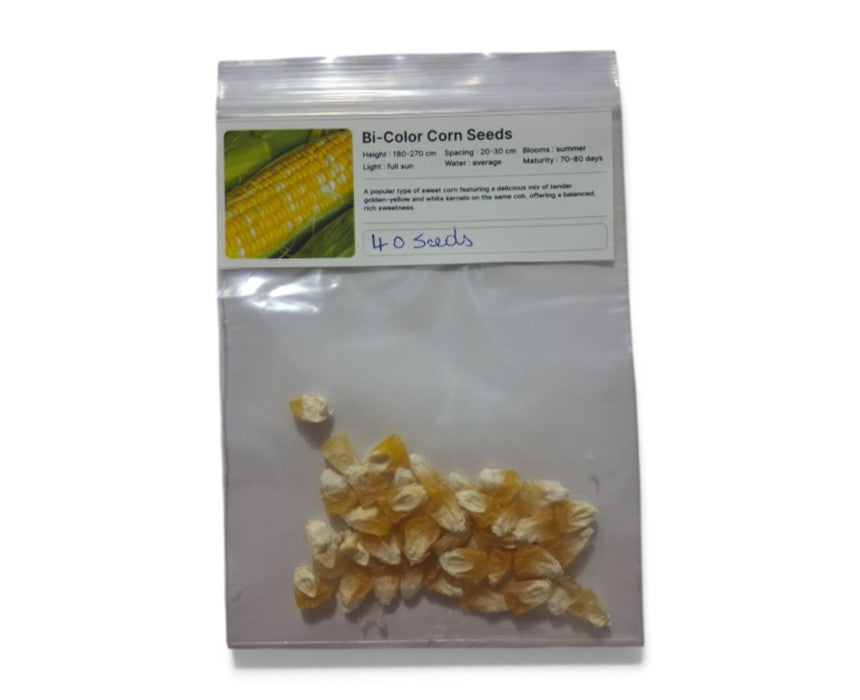 Bi-Color Corn Seeds