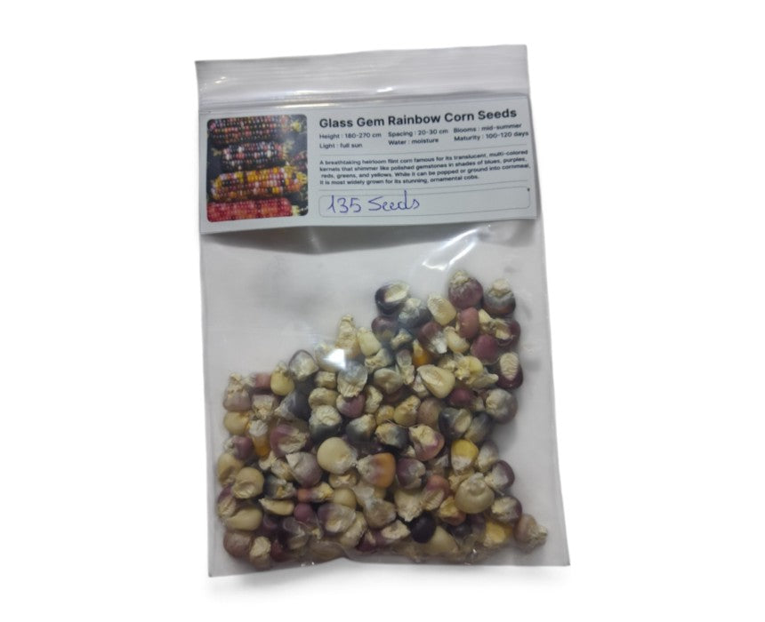 Glass Gem Rainbow Corn Seeds