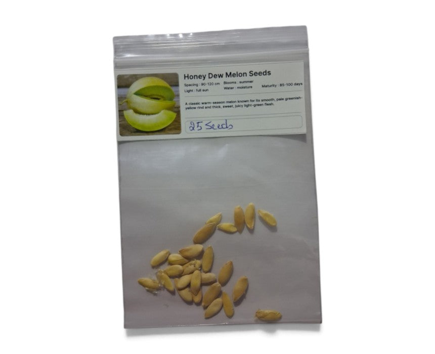 Honey Dew Melon Seeds Pack of 2