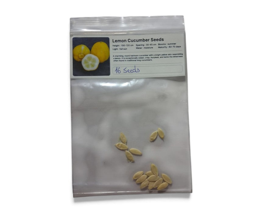 Lemon Cucumber Seeds Heirloom