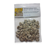 Mammoth Sunflower Seeds