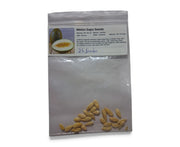 Melon Sapo Seeds Spanish Heirloom