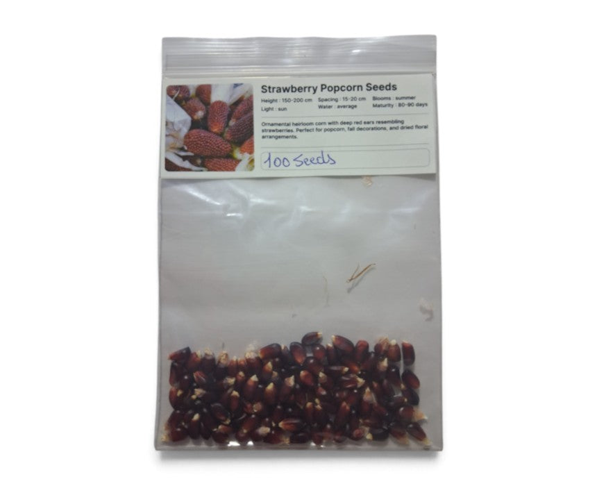 Strawberry PopCorn Seeds