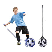Portable ball holder trainer with long handle