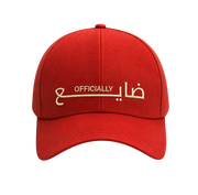 Cap: Officially Dayi3