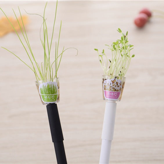 Black Pen Grass Planting Plant Can Sprout&Grow Stress Relief 0.5mm