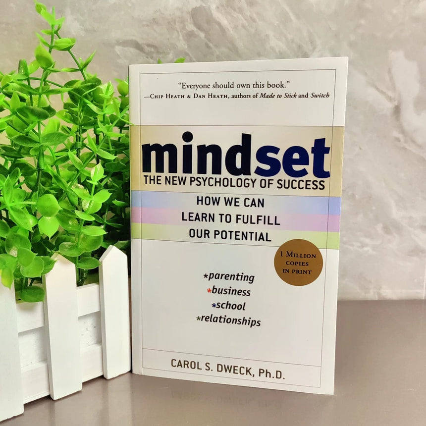Mindset The New Psychology Of Success | Soft Cover