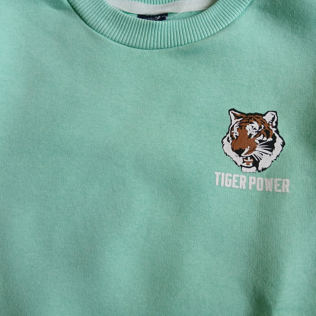 Kids’ Fleece Tiger Power Sweater – Mint | 7–8Y