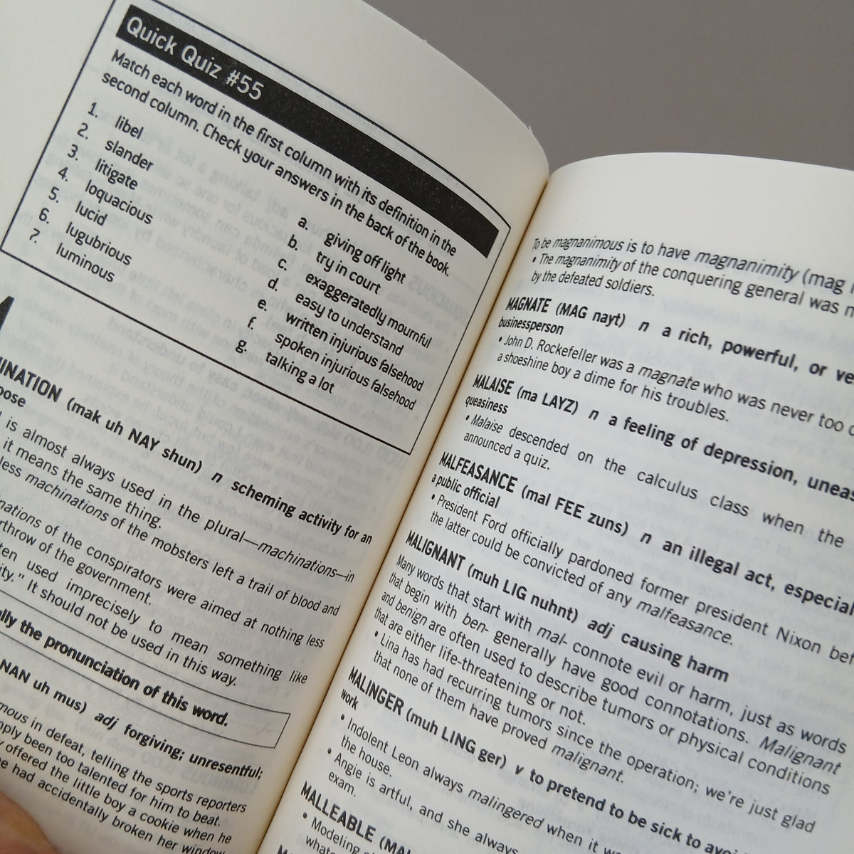 Word Smart Book Softcover | 13+