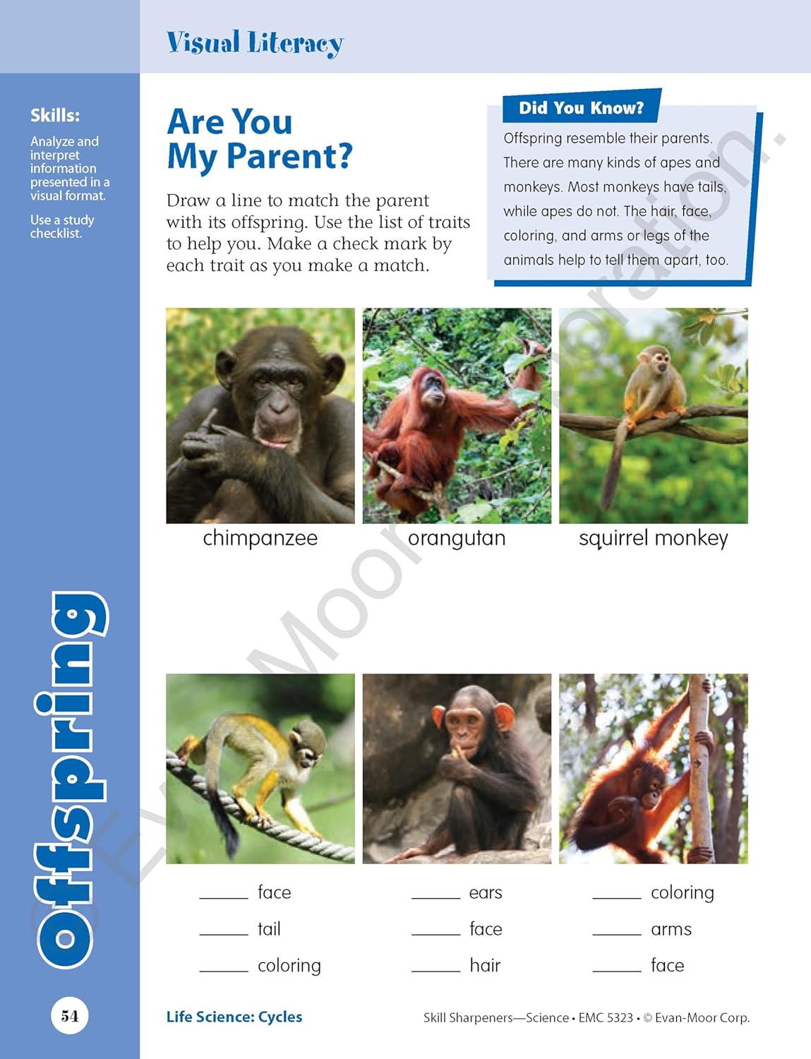 Evan Moor Skill Grade 3 Set 7 Books | Soft Cover | 8-9y
