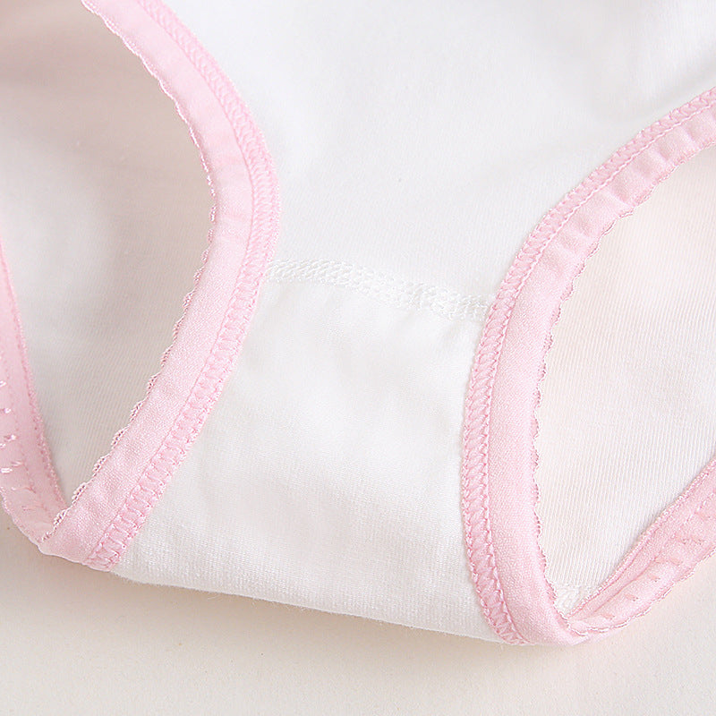 Girls Cotton Panties ( 1pc)-Pink Flower | Size 12Y