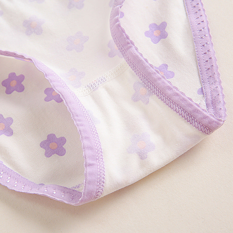 Girls Cotton Panties (1pc)-Purple Flower | Size 2–8Y