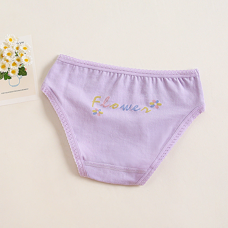 Girls Cotton Panties (4 pcs) Purple Flower| Size 2–12Y