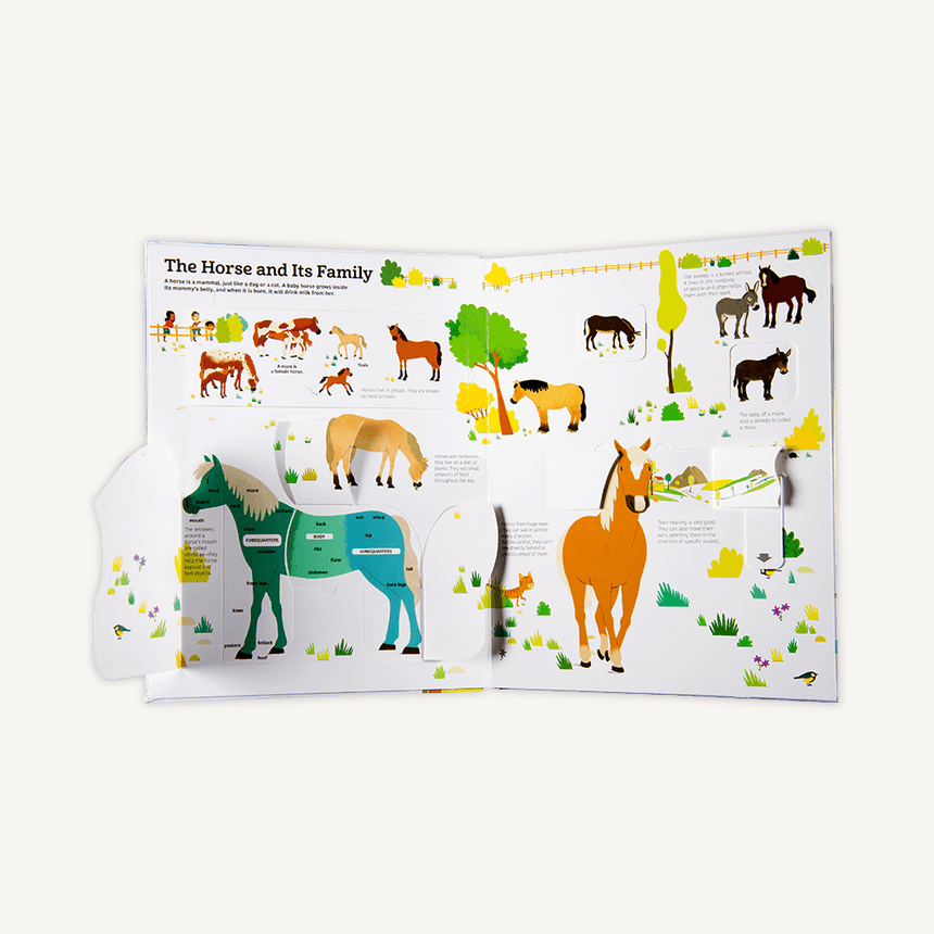Big Ultimate Book Of Horses | Hardcover | 5+