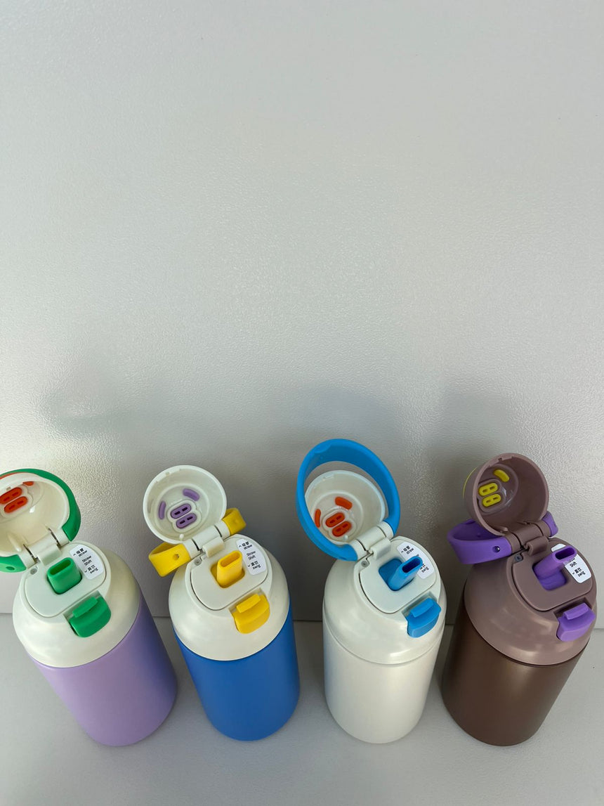 Double Wall Stainless Steel Bottle 550ml