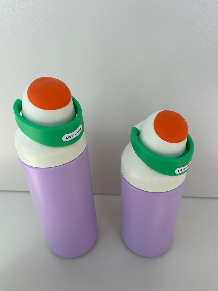 Double Wall Stainless Steel Bottle 550ml