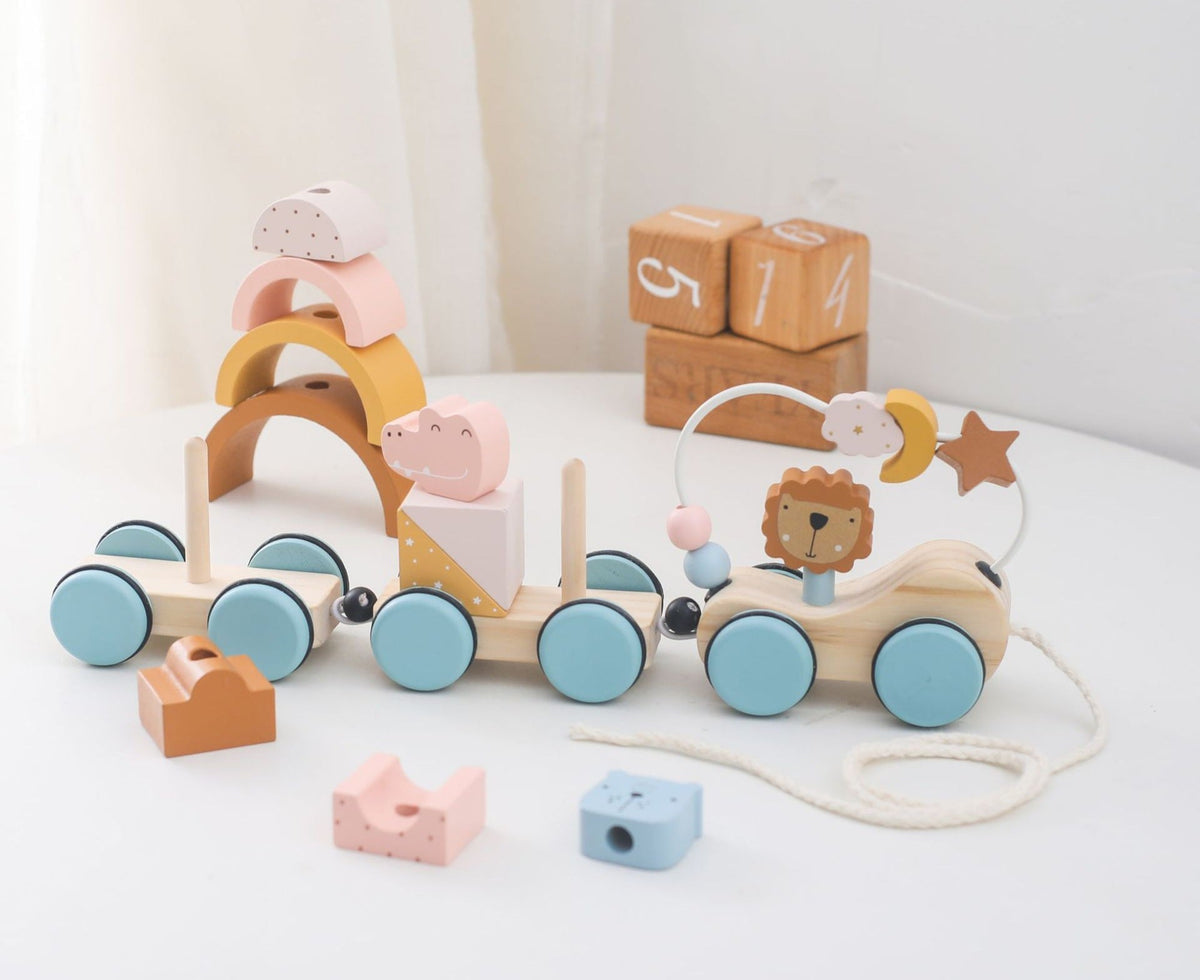 Montessori Wooden Pull Along Train Toy