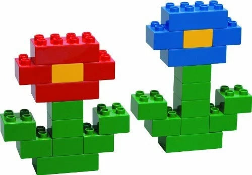 LEGO DUPLO Classic Building Bricks Set – 80 Pieces | 2+