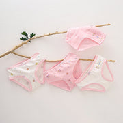 Girls Cotton Panties ( 1pc)-Pink Flower | Size 12Y