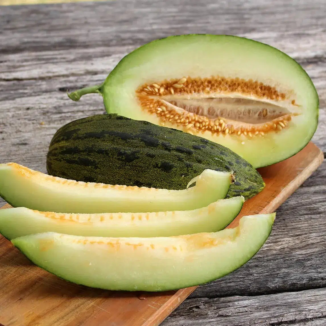 Melon Sapo Seeds Spanish Heirloom
